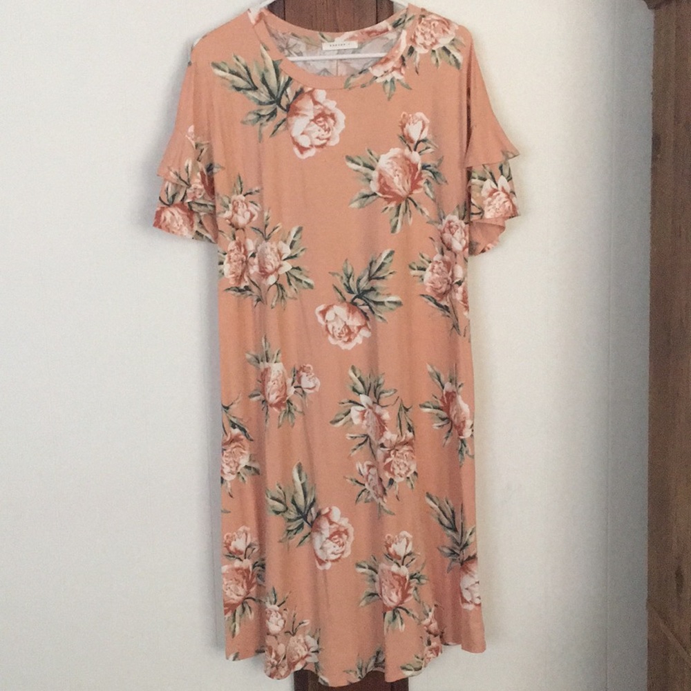 Nwot ruffle sleeve dress